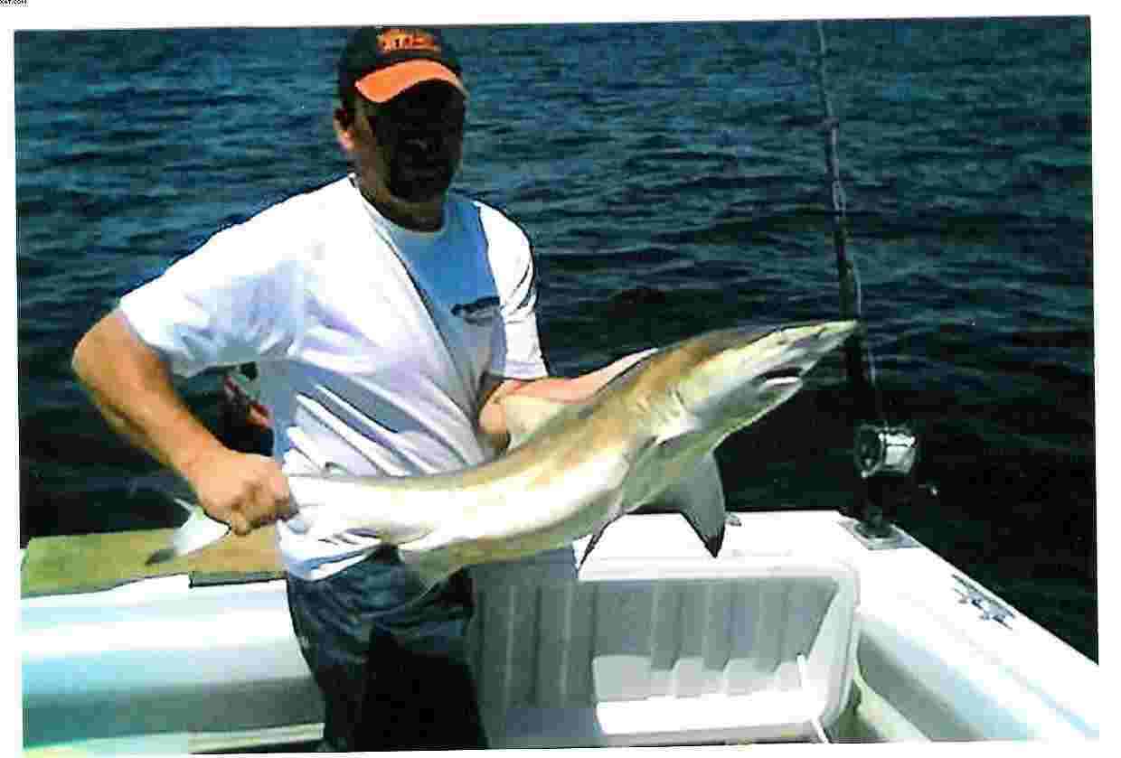 fishing06003.jpg